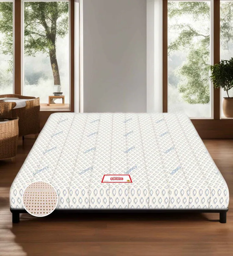 Biolife Ltx Indonesian Latex Foam 10 Inch King Size Mattress