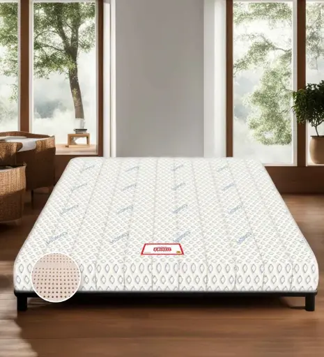 Biolife Ltx Indonesian Latex Foam 10 Inch King Size Mattress