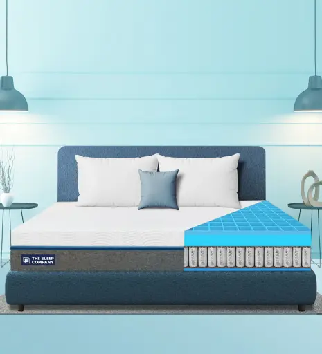 Ortho Hybrid SmartGrid 10 inch HR Foam Queen Size Mattress with Grid Layer (With 2 Free Pillows)